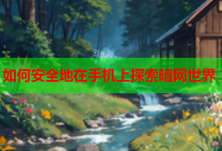 如何安全地在手机上探索暗网世界