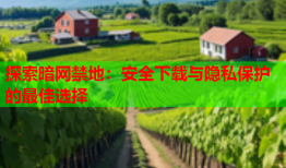 探索暗网禁地：安全下载与隐私保护的最佳选择