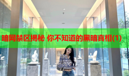 暗网禁区揭秘 你不知道的黑暗真相(1)