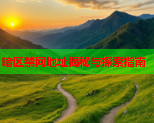 暗区禁网地址揭秘与探索指南