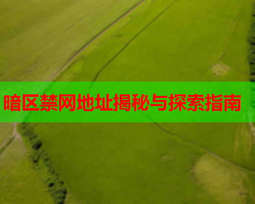 暗区禁网地址揭秘与探索指南