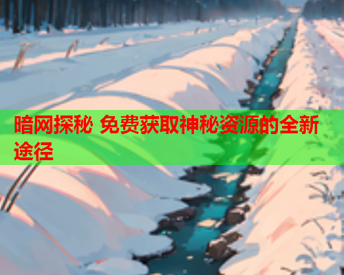暗网探秘 免费获取神秘资源的全新途径