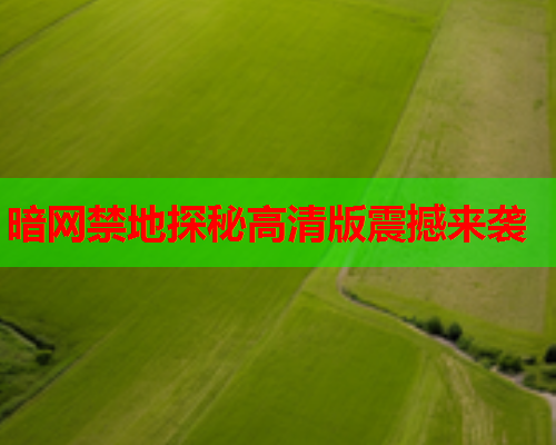 暗网禁地探秘高清版震撼来袭