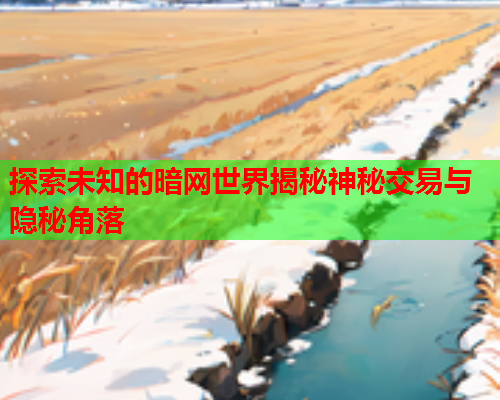 探索未知的暗网世界揭秘神秘交易与隐秘角落