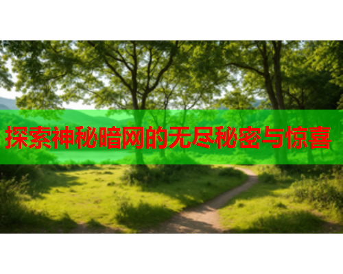 探索神秘暗网的无尽秘密与惊喜
