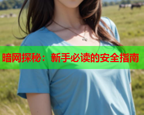 暗网探秘：新手必读的安全指南
