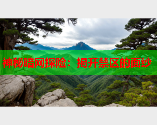神秘暗网探险：揭开禁区的面纱