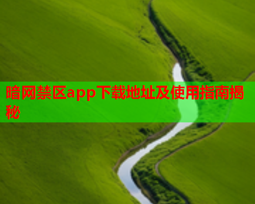 暗网禁区app下载地址及使用指南揭秘
